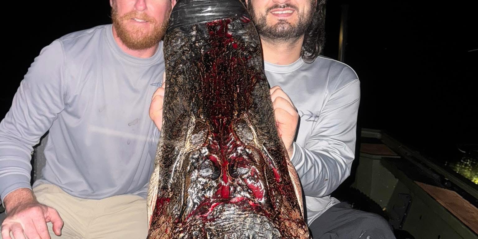 What a start to the 2025 Alligator Season! Capt. Nick, What a start to the 2025 Alligator Season!
Capt. Nick, Cap...